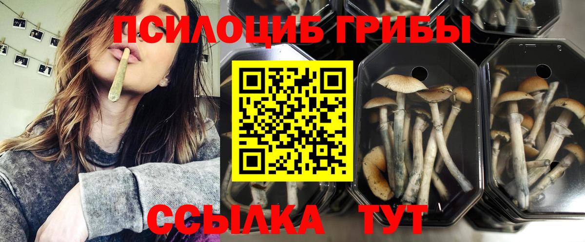 Галлюциногенные грибы MAGIC MUSHROOMS  Псилоцибиновые грибы Magic Shrooms  Красногорск  Вход с VPN 