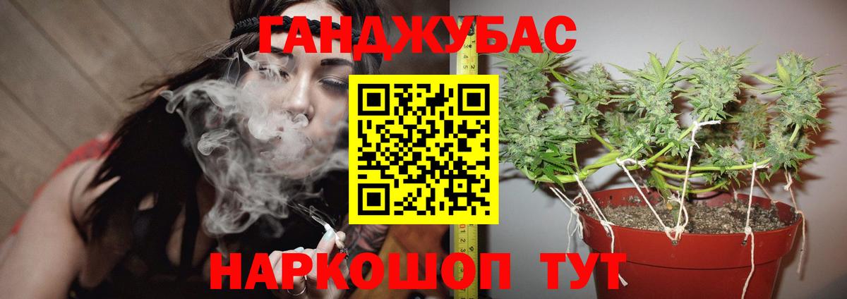 Бошки Шишки Amnesia Красногорск